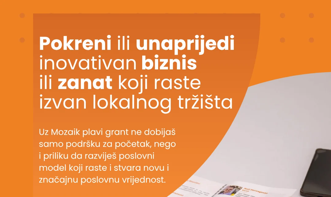 Omladinska banka Velika Kladuša – Poziv za plave grantove